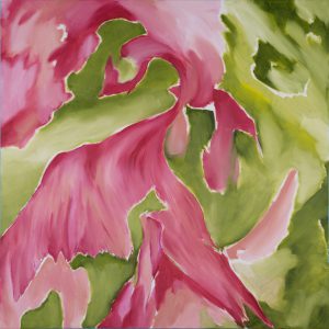 Fénix cor-de-rosa